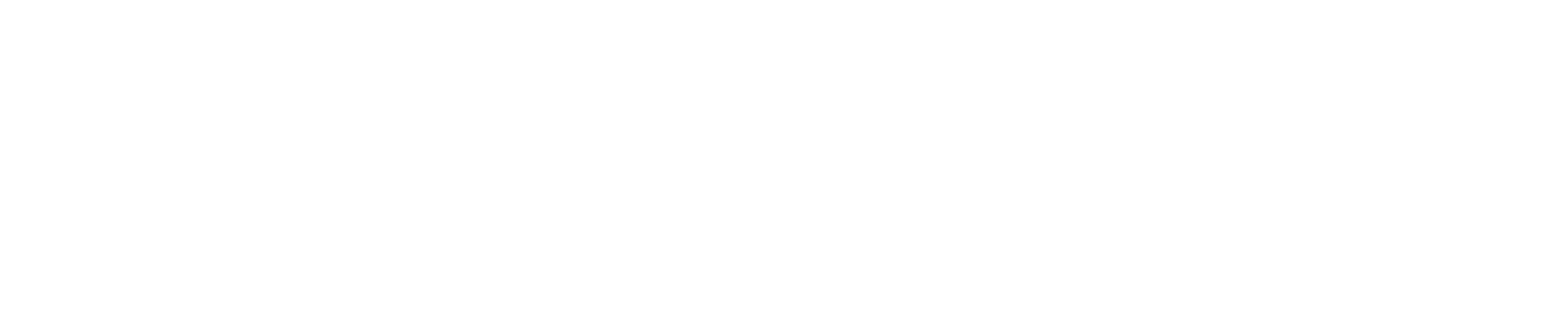 DN Consultores SCC